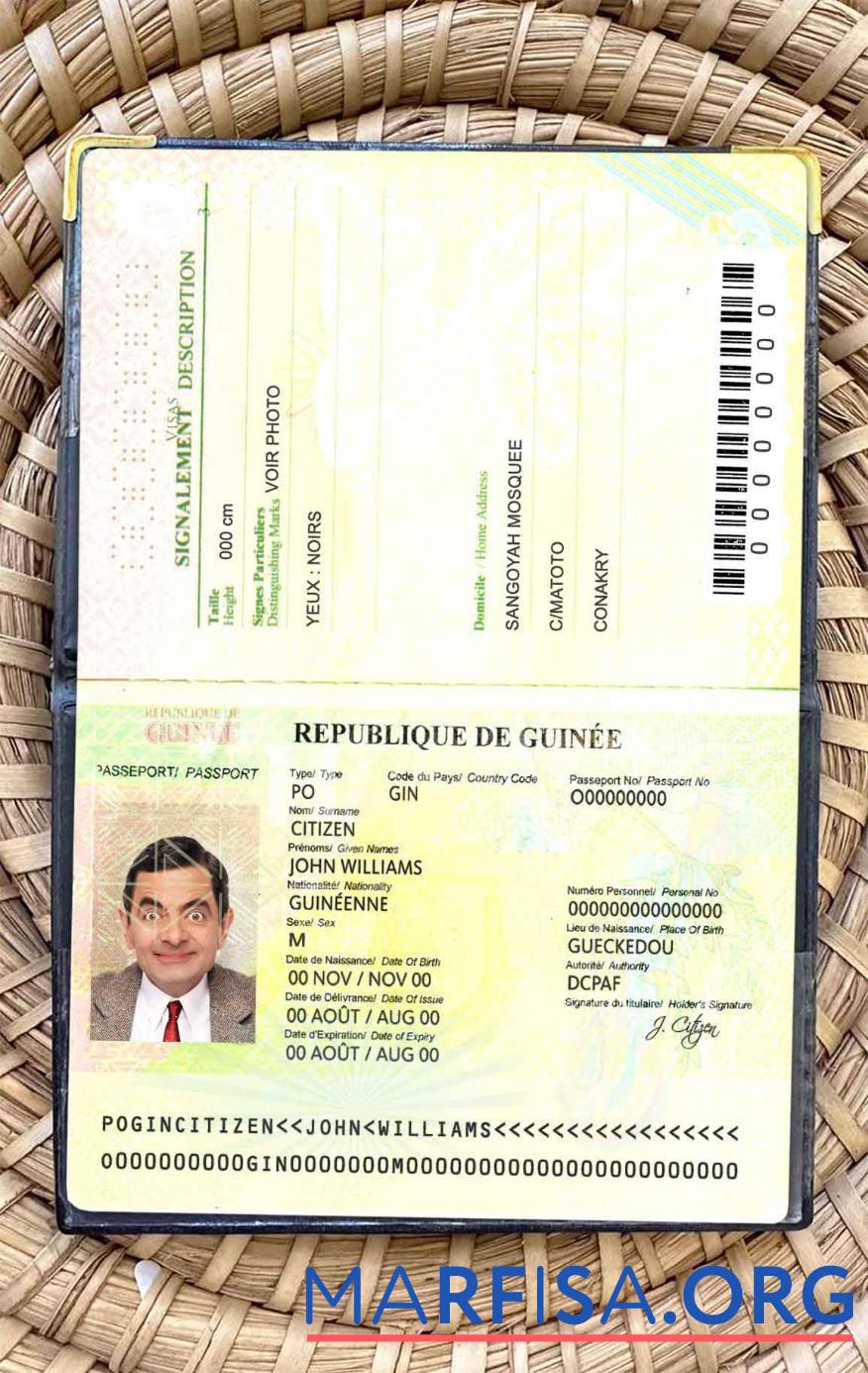 Blank Guinea Passport (2014 2018) real example
